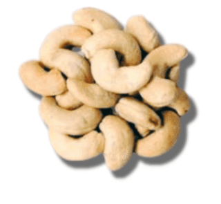 cashew nut price in bd