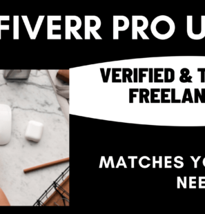 Fiverr Pro USA